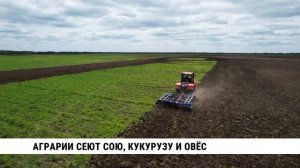 Аграрии Хабаровского края сеют сою, кукурузу и овёс