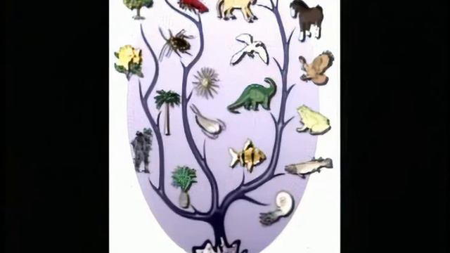 Сотворение в 21-м веке. ч. 21 | Creation in the 21 Century (21) смотреть онлайн