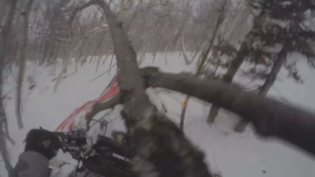 Приисковый 2015 Ноябрь смотреть онлайн