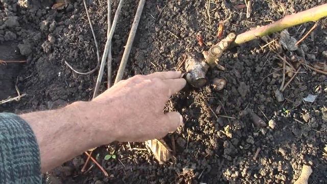 ВЕСНА.  Апрельский  репортаж 28 апреля.