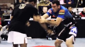 Грэпплинг ADCC 2011