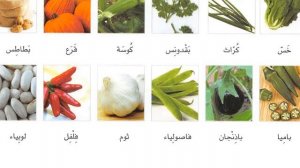 Арабский в твоих руках 1 том урок 23 слова.