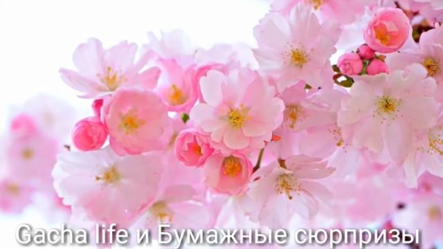 Интро из Гача лайф смотреть онлайн