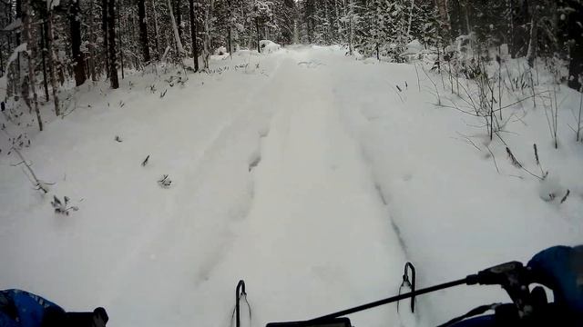 Миниснегоходы / зимний отдых