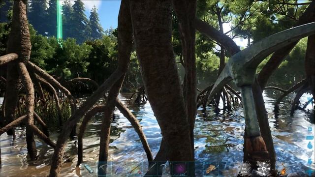 ARK РЕДКИЙ ГРИБ