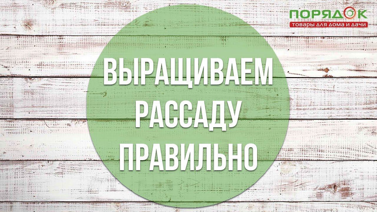 Как вырастить рассаду? смотреть онлайн