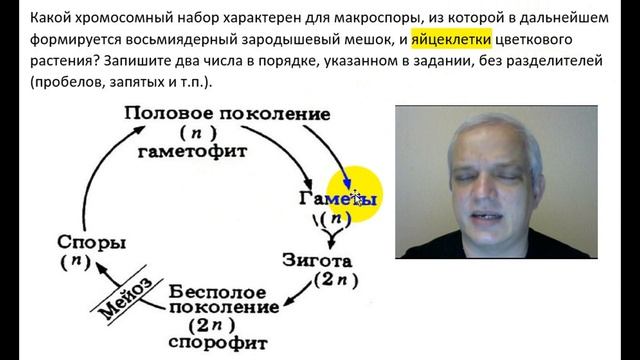 Видео-объяснение для Биоробота смотреть онлайн