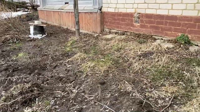 Поехали в деревню, открывать розы. Суббота 9 апреля 2022 смотреть онлайн