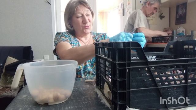 ПРОСТОЙ СПОСОБ СОХРАНИТЬ ЧЕСНОК БОЛТАЛКА. смотреть онлайн