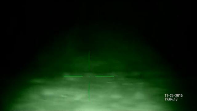 ATN X Sight Ночная охота на зайцев до 50 метров. Перебил хребет косому смотреть онлайн