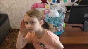 ХОМКИ  Побег хомяков из клетки.  Escape the hamsters from the cage