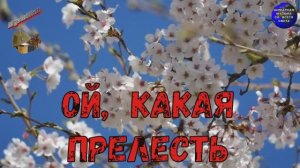 ♫ ОЙ, КАКАЯ ПРЕЛЕСТЬ !!! ВОСТОРГ И НЕГА - ЛЕПОТА !!!