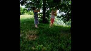 Липовый цвет   Сбор и сушка липового цвета