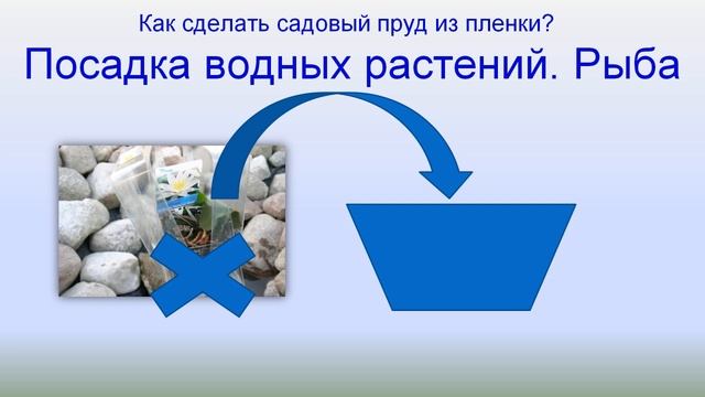 Пруд в саду 11: Посадка водных растений смотреть онлайн