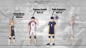 Haikyuu Height Comparison on Season 4