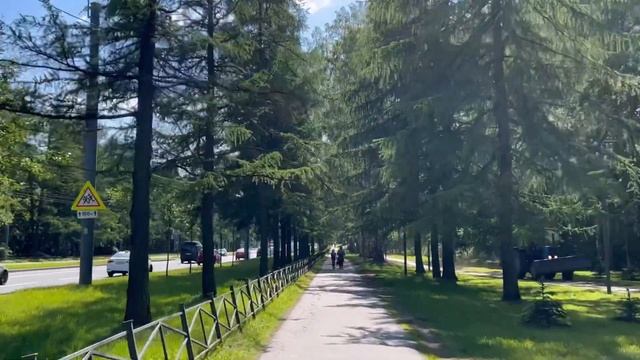 Санкт-Петербург 2023 . Парк Сосновка?? смотреть онлайн