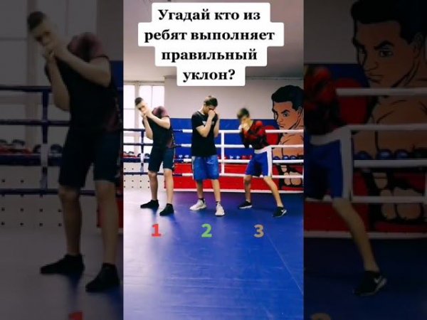 Пиши в комментарии правильный ответпосмотрим сколько есть боксёров! #shorts
