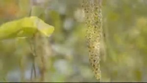 Эдуард Изместьев-Письмо Богу