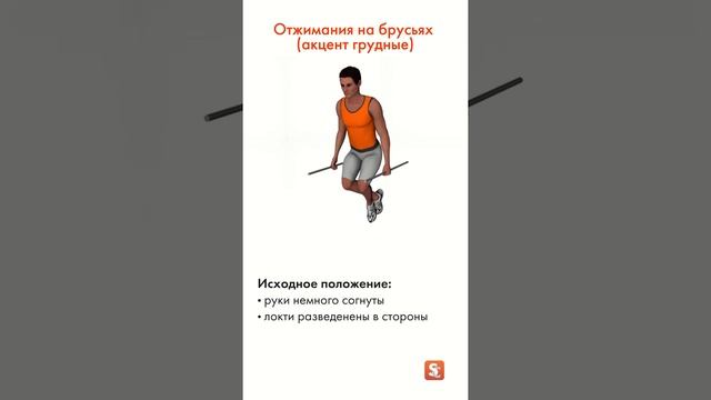 ? Отжимания на брусьях (акцент грудные)