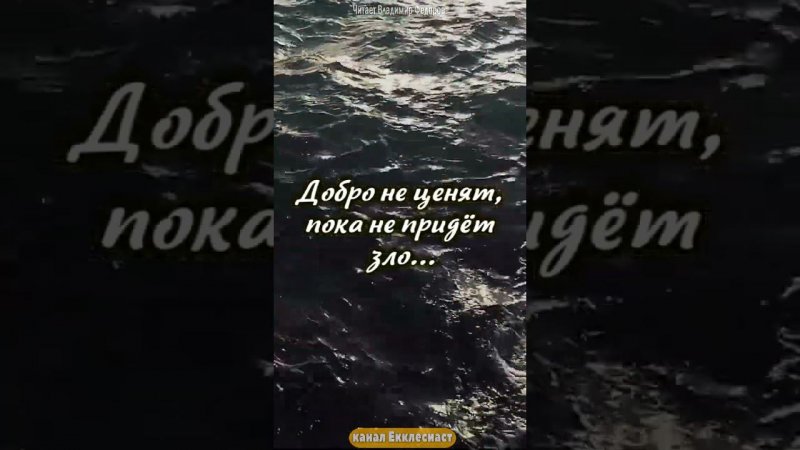 Еврейская Мудрость "Добро не ценят, пока..." #еврейскаямудрость #цитаты #shorts