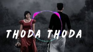 Thoda Thoda Pyaar Hua | Nilesh Ahuja | Slowed And Reverb | Lofi | Remix Song | New Hindi Song