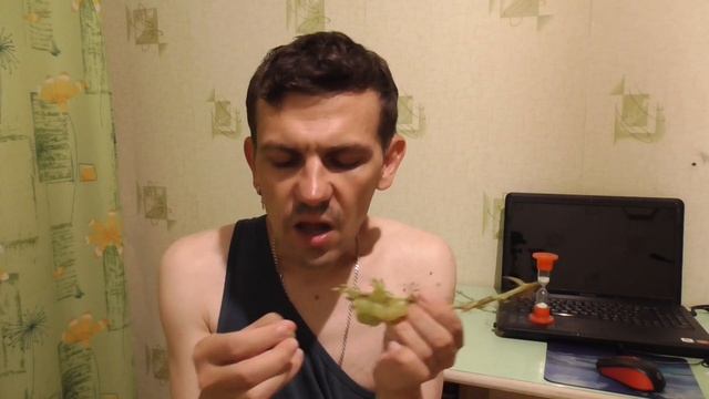 ОБЖОР НА ЗЕЛЁНЫЙ ВИНОГРАД КИШМИШ ИНДИЯ