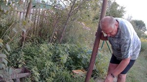 ОБЩЕСТВЕННАЯ СКВАЖИНА