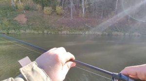 Обзор спиннинга Favorite Black Swan 722! Практически безрыбный, но тем не менее :)