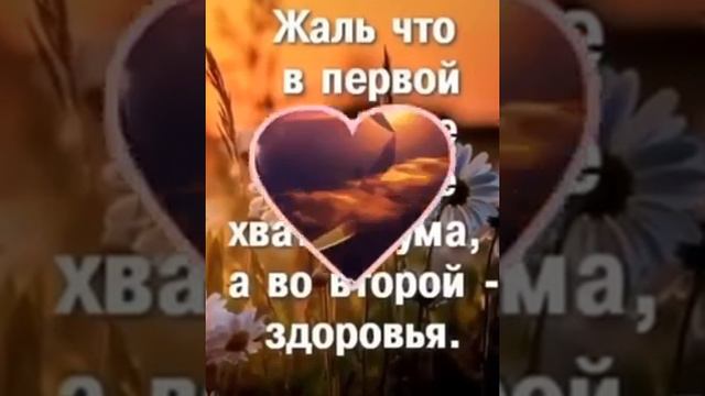 Как верно сказано. смотреть онлайн