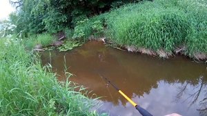 Ловля щуки на микро речке в СПБ