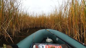 Осенний КАРАСЬ на ПОПЛАВОК/ Рыбалка с лодки  в камыше