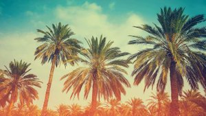 конырат кыз минус текст