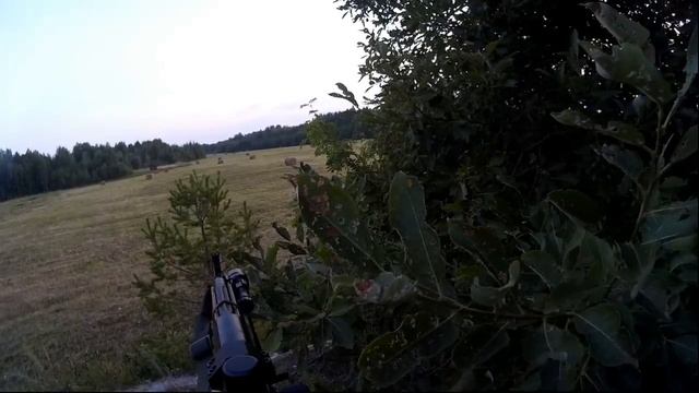 Охота на косулю с манком смотреть онлайн