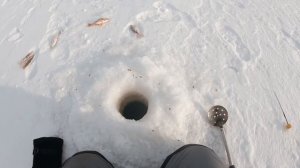 ЗИМНЯЯ РЫБАЛКА . ЛОВИМ НА МОРМЫШКУ. КРУПНЫЙ ЧЕБАК ИЛИ ПЛОТВА, КОМУ КАК НРАВИТСЯ?