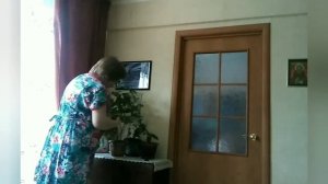 Клеродендрум не цветёт. Стригу.