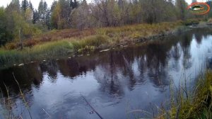 Рыбалка на СПИННИНГ.осенний ЖОР ЩУКИ.НОВОЕ МЕСТО.