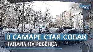 В Самаре стая собак напала на ребёнка