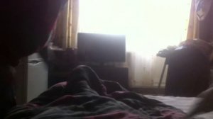 Собака защищает хозяина