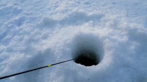 Щука и другие. Кого же больше? Сахалинская рыбалка & Sakhalin fishing