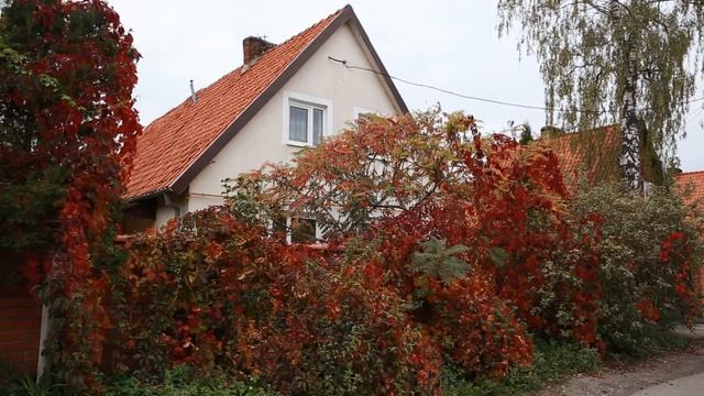 Дорогое подключение к газу смотреть онлайн