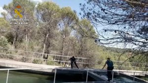 Спасение животных | Испанские полицейские спасают попавшую в воду косулю