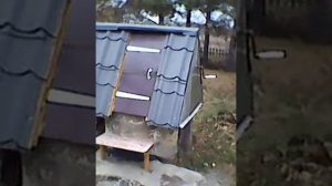 ландшафтный дизайн +своими руками