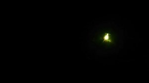 Сварка аргоном американка/бабочка облицовка на примере пластины