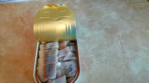 Обзор/Селедки "Столичной" Республика Беларусь