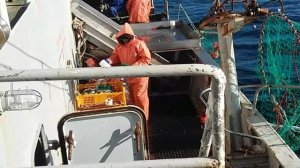 Тяжёлый День.mp4