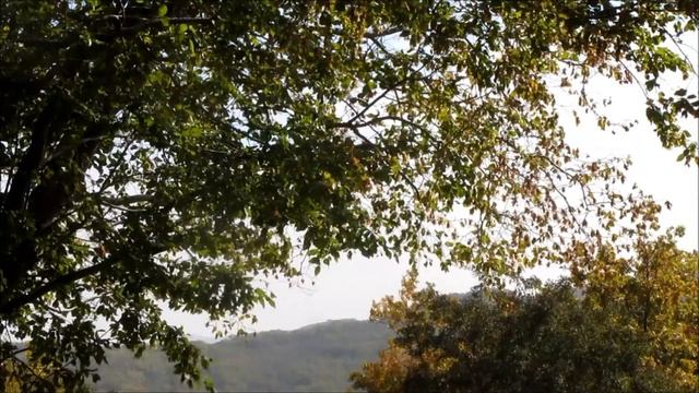 Звучание Тибета смотреть онлайн