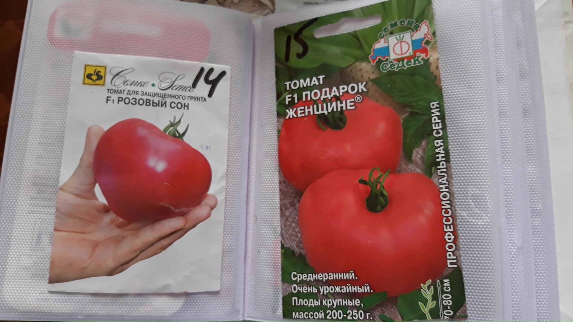 Не взошли семена помидоров что делать. EC для томатов. Русский помидор. Copт «хoлoдoк» томаты. Томат челнок всход семян.
