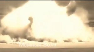 Кот чихнул и пернул одновременно