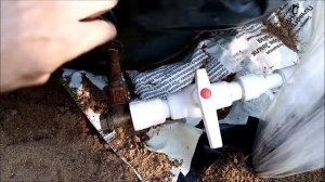 И все-таки клубника ? Королева Елизавета 2 раскачалась.