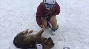 Dombay. Одно из лучших мест в России - Домбай. 2018.